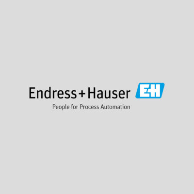 Logo Endress+Hauser